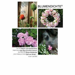 BlumendichteR