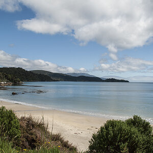 Strand Paterson Inlet.jpg