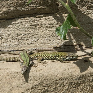Italien-2019-3-25m.jpg