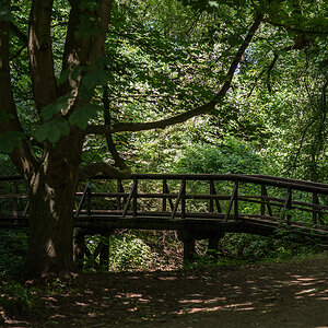 Schattige Brücke.jpg