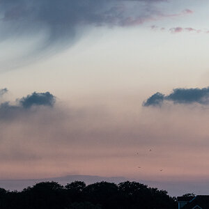 20190611-004.jpg