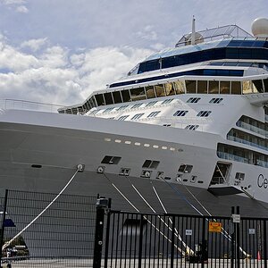 Celebrity Silhouette