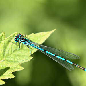 DSC_0745.jpg