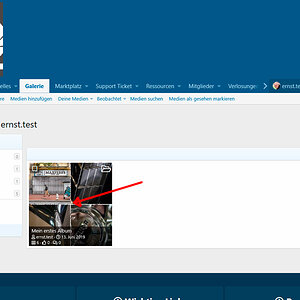 Bild-aus-Album-oder-Link-002.jpg