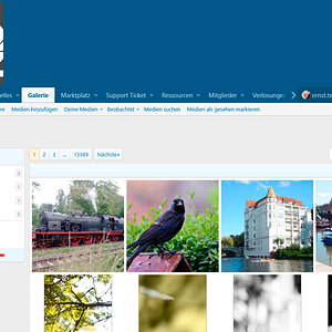Bild-aus-Album-oder-Link-003.jpg