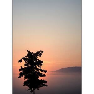 MorgenDSC_1988.jpg