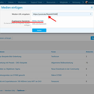 Medien-einbetten-004.jpg