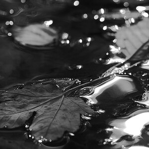 Reflektion in SW