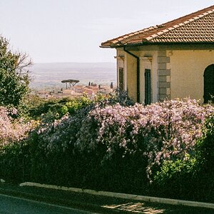 TZ_F1000024.jpg
