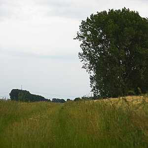 811_3464t10l10fks25p1f.jpg