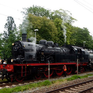 matjestrain.jpg