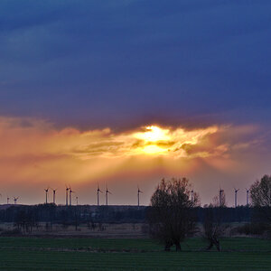 20190412_75D0651.jpg
