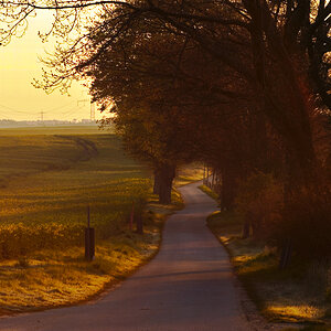 20190421_72D6598_01.jpg
