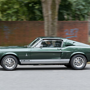 Ford Mustang Fastback GT 350 Shelby