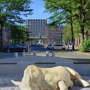 DSC_0014_DxOVP_01.jpg