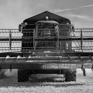 OF2_30411sw.jpg