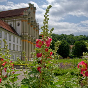 DSC_0911_DxO2.jpg