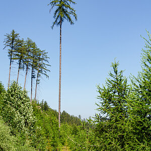 OF-58935.jpg