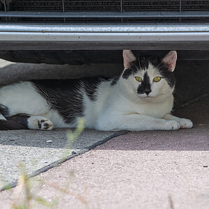 OF2_30492.jpg