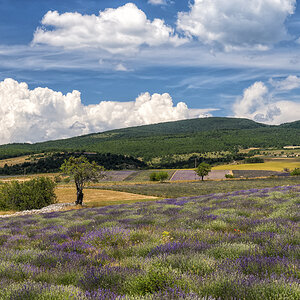 _D8E6572-Bearbeitet-Bearbeitet-Bearbeitet.jpg