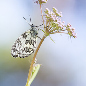 _D715447-Bearbeitet-Bearbeitet-Bearbeitet.jpg