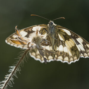 _D715491-Bearbeitet.jpg