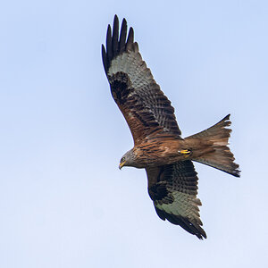 OF2_28810.jpg