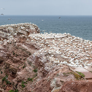 190714 Alkor-18.jpg