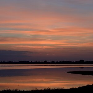 DSC_8842a.jpg