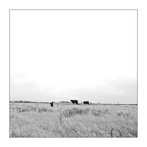 190/365