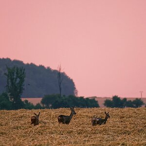 Zwischen zwei Gewittern