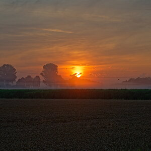 DSC_1164_DxO2_1200.jpg