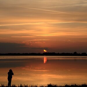 DSC_8795a1.jpg
