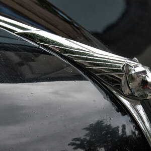 Peugeot 203 [DSC_3117]