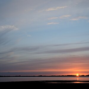 DSC_9184a.jpg