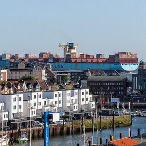 D50_4652.JPG