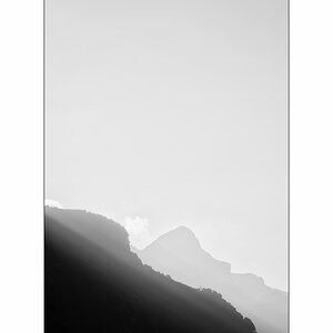 T19D4F_1400.jpg