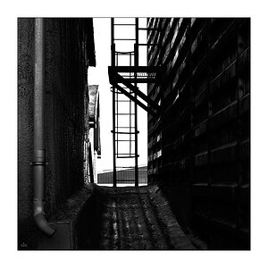 201/365