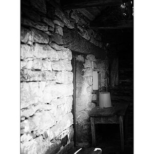 T19D4F_1214.jpg
