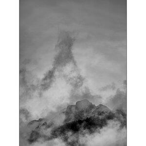 T19D4F_1006.jpg