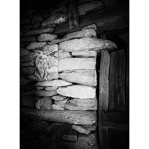 T19D4F_0748.jpg