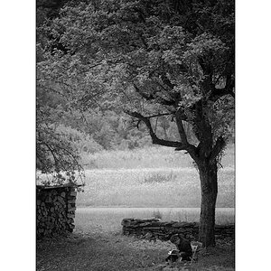 T19D4F_0825.jpg