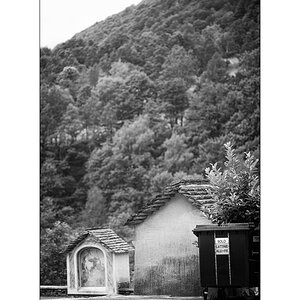 T19D4F_0836.jpg