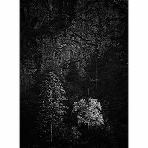 T19D4F_0915.jpg