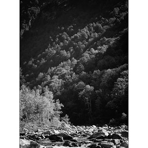 T19D4F_0934.jpg