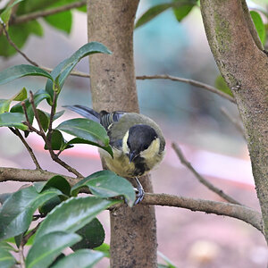 NZ6_3018.jpg