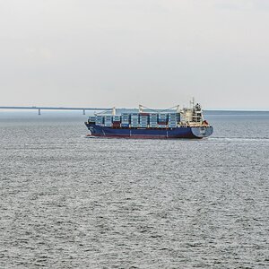 TZ_ZIM_8399.jpg