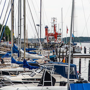 190719 Alkor-24.jpg