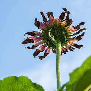 OF2_30896.jpg
