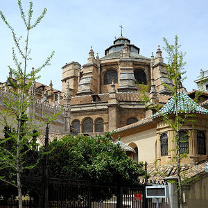 DSD_8651.jpg